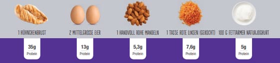 Protein