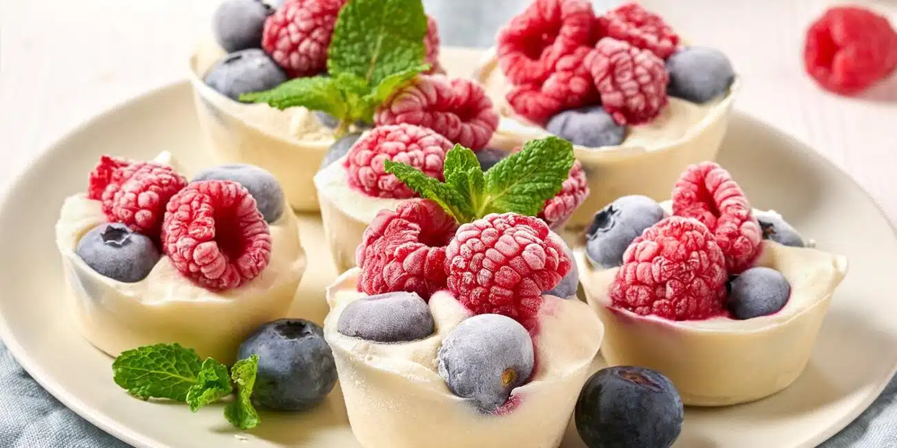 Gefrorener Frucht-Joghurt