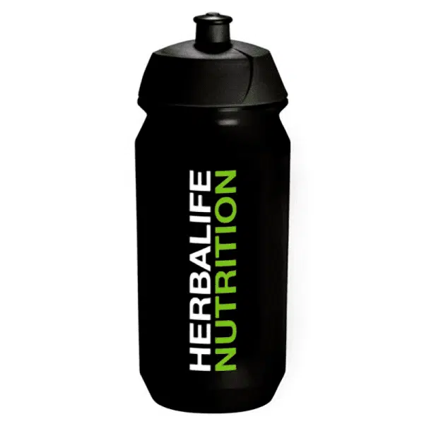 H24 Trinkflasche (500 ml)