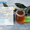 Herbalife Tee Instantgetrank mit Pflanzenextrakten Pfirsich 51g – Bild 2