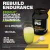 Herbalife H24 Rebuild Endurance Vanille 1000g – Bild 2